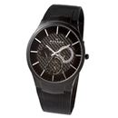 Часы Scagen 809xltbb